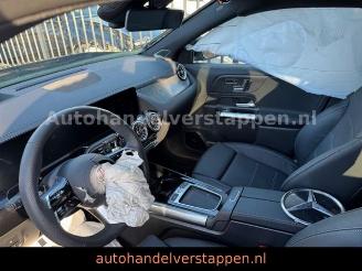 Mercedes EQA 250+ AMG SPORT Pano Burm HUD Facelift picture 31