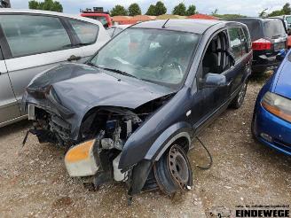 Ford Fusion Fusion, Combi, 2002 / 2012 1.4 16V picture 1