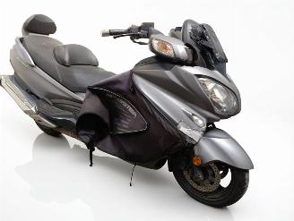 Suzuki  650 BURGMAN EXECUTIVE picture 16