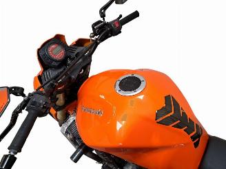 Kawasaki Z 1000  picture 12