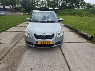 skadebil auto Skoda Fabia  2010/2