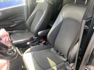 Ford EcoSport EcoSport (JK8), SUV, 2013 1.0 EcoBoost 12V 125 picture 18