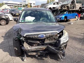 Subaru Forester Forester (SJ), SUV, 2013 2.0 16V X picture 8