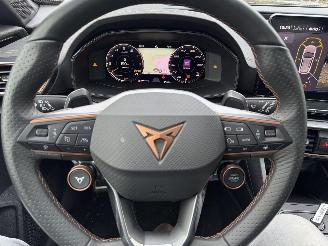 Cupra Formentor 2.0 TSI  VZ 245 Pk DSG picture 29