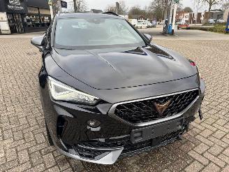Cupra Formentor 2.0 TSI  VZ 245 Pk DSG picture 5