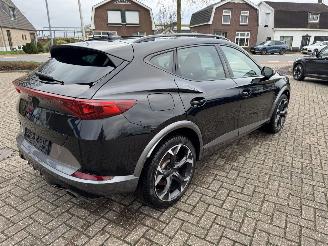 Cupra Formentor 2.0 TSI  VZ 245 Pk DSG picture 13