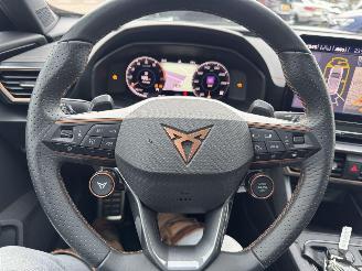 Cupra Formentor 2.0 TSI  VZ 245 Pk DSG picture 37