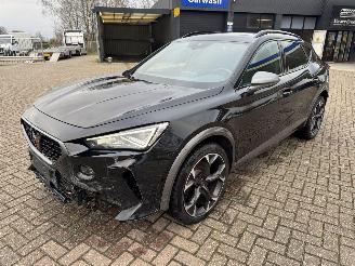 Cupra Formentor 2.0 TSI  VZ 245 Pk DSG picture 2