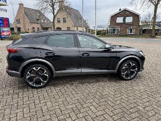 Cupra Formentor 2.0 TSI  VZ 245 Pk DSG picture 11