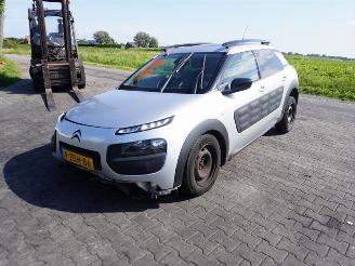 Citroën C4 cactus 1.6 HDI picture 3