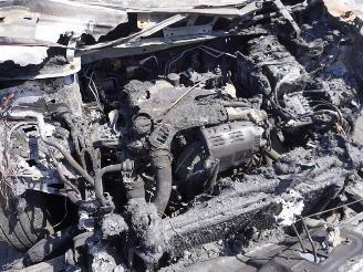 Renault Arkana E-TECH picture 5