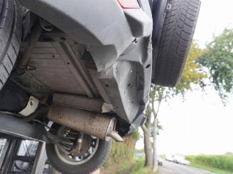 Ford EcoSport 1.0 EcoBoost 125 picture 11