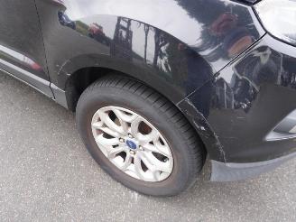 Ford EcoSport 1.0 EcoBoost 125 picture 5