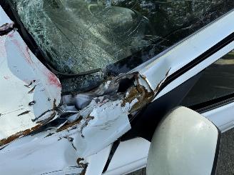 Mitsubishi   picture 13