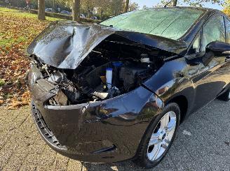 Ford Fiesta  picture 15