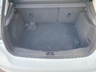 Ford Focus 1.0 Trend Edition picture 26
