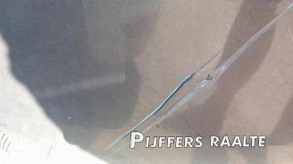 Volkswagen Passat Passat Variant (365), Combi, 2010 / 2015 2.0 TDI 16V 135 picture 21