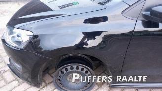 Volkswagen Polo Polo V (6R), Hatchback, 2009 / 2017 1.2 TDI 12V BlueMotion picture 15