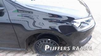 Volkswagen Polo Polo V (6R), Hatchback, 2009 / 2017 1.2 TDI 12V BlueMotion picture 20