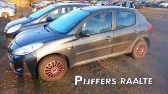 disassembly passenger cars Peugeot 206 206+ (2L/M), Hatchback, 2009 / 2013 1.4 XS 2011/1