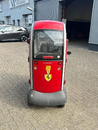 Mango  Napoleon picture 3