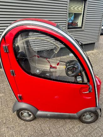 Mango  Napoleon picture 9