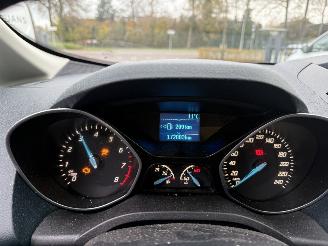 Ford C-Max 1.0 Titanium (MPV 5-dr.) picture 24