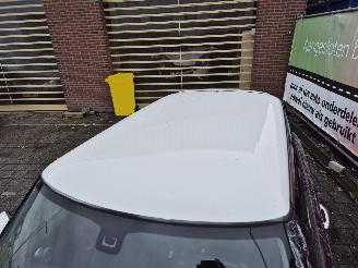 Mini Cooper 1.6 chilli special paint picture 8