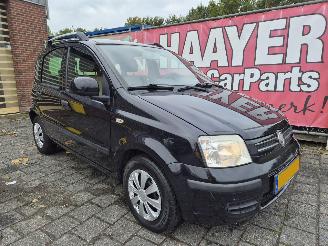 Fiat Panda 1.2 edizione cool picture 1