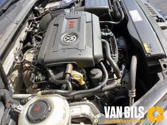 Volkswagen Golf Golf VII (AUA), Hatchback, 2012 / 2021 2.0 GTI 16V Performance Package picture 9