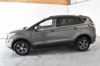 Ford Kuga 1.5 EcoB. ST Line picture 4