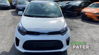 Kia Picanto Picanto (JA), Hatchback, 2017 1.0 DPi 12V picture 3