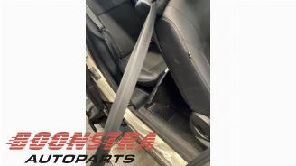 Ford B-Max B-Max (JK8), MPV, 2012 1.0 EcoBoost 12V 100 picture 24