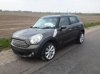 Mini Countryman 1.6d picture 1