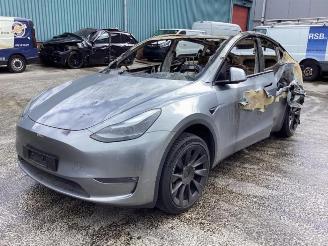Tesla Model Y Model Y (5YJY), SUV, 2019 Long Range,Performance picture 1
