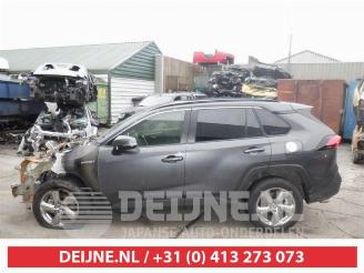 Toyota Rav-4 RAV4 (A5), Terreinwagen, 2018 2.5 Hybrid 16V AWD picture 2