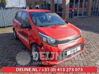 Coche siniestrado Kia Picanto Picanto (JA), Hatchback, 2017 1.0 12V 2019/2