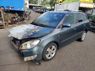 Skoda Fabia Fabia II Combi Combi 5-drs 1.2 TSI (CBZA) [63kW]  (03-2010/12-2014) picture 1