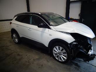 Autoverwertung Opel Grandland 2.0 CDTI AUTOMAAT 2020/7