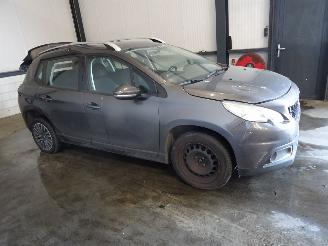 Peugeot 2008 1.2 VTI picture 2