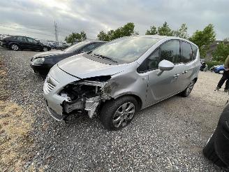 Opel Meriva Meriva B 1.4 16V Cosmo picture 1