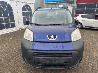 Peugeot Bipper Bipper Tepee (AJ), MPV, 2008 1.4 picture 2