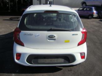 Kia Picanto  picture 5