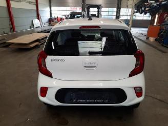 Kia Picanto Picanto (JA), Hatchback, 2017 1.0 DPi 12V picture 4