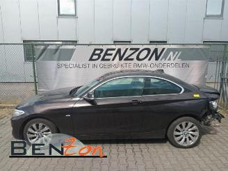 demontáž osobní automobily BMW 2-serie 2 serie (F22), Coupe, 2013 / 2021 218d 2.0 16V 2014/7