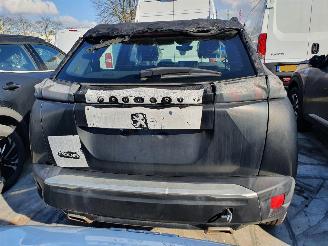 Peugeot 2008 P24E 1.2P Aut. picture 5