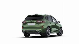 Ford Kuga ST-Line picture 2