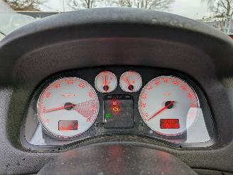 Peugeot 307 CC Cabrio 1.6 picture 14