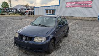 Dezmembrări autoturisme Volkswagen Polo Match 2001/11