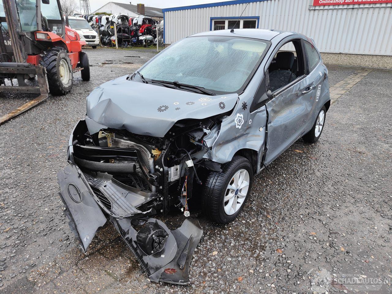 Ford Ka 1.2 Lago-Grijs Onderdelen 169A4000 Motor